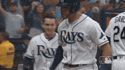 Major League Baseball Sport GIF by MLB
