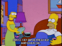 homer simpson episode 13 GIF