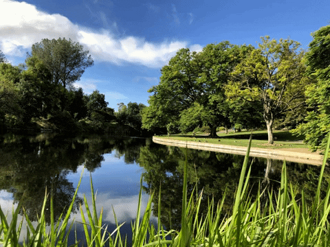 s1cn1c giphyupload virtual background lake GIF