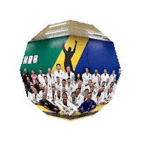 Diego Gamonal Sticker by Brazilian Top Team