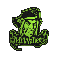 Wels Waller Sticker by Zeck Fishing
