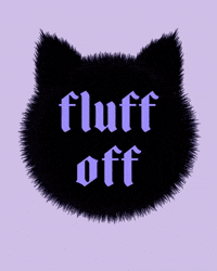 Sassy Cat Eff You GIF