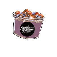 SouthernPressedJuicery juice acai greenville green juice Sticker
