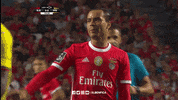 SL_Benfica benfica slb sl benfica slbenfica GIF
