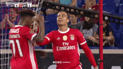 Angry Sl Benfica GIF by Sport Lisboa e Benfica