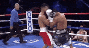 Espn Fighting GIF by Top Rank Boxing