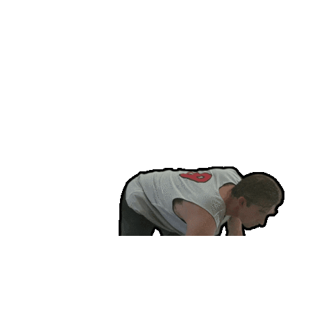 clemlecoach giphygifmaker animalflow Sticker