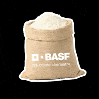 Arroz GIF by BASF Soluções para a Agricultura
