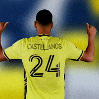 Major League Soccer Football GIF by Nashville SC