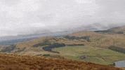 GIF by Alba Campers