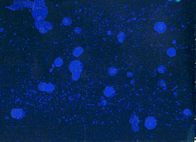 animation sustanciaproject GIF by EmiLi