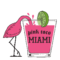 pinktaco pink drink skull miami Sticker