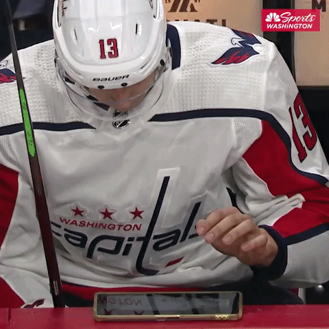 hockey nhl GIF