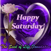Saturday GIF by The SOL Foundation