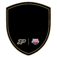 Pool Swimming Sticker by Purdue University