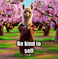 Wisdom Acceptance GIF by dalaillamazen