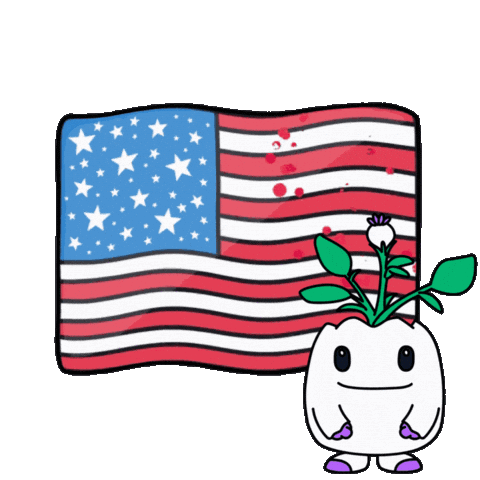Grilling United States Sticker by Magic Eden