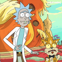 Season 2 Episode 10 GIF by Rick and Morty