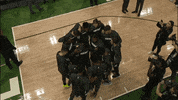 Game Time Fun GIF by NBA