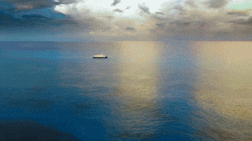 This Is The Only Job Interview That Can Bite!