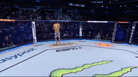 Mixed Martial Arts Sport GIF by UFC