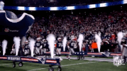 2018 Nfl Football GIF by NFL