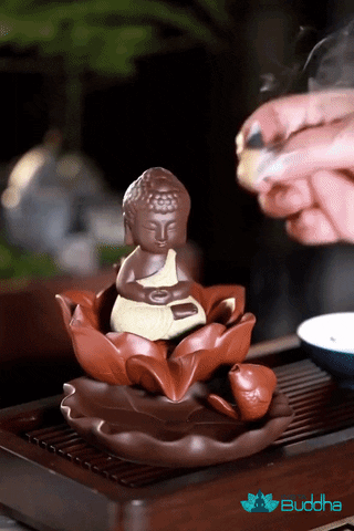 rilchinopong giphyupload GIF