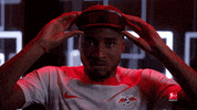 Rb Leipzig GIF by Bundesliga