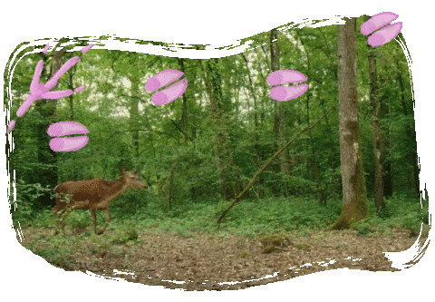 Bambi Tier Sticker by Druck und Werte Creatives