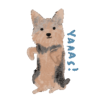 Yassss Sticker by Andrea Caceres