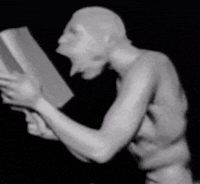 Streamer Reading GIF