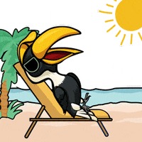 Angry Summer GIF by Harry Hornbill
