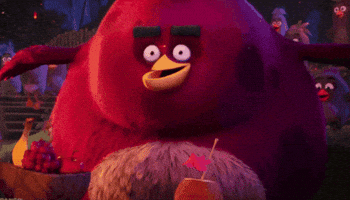 Angry Birds Terence GIF