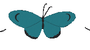 Art Morph Sticker