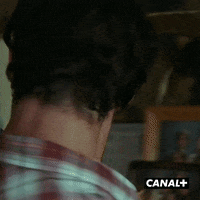 Canal Plus Serie GIF by CANAL+