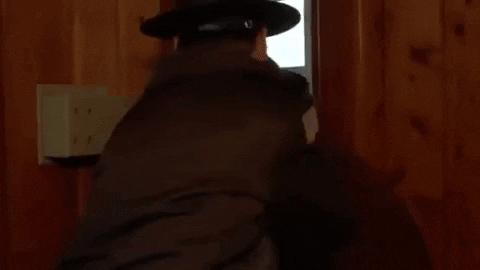 traceypolyflavour giphygifmaker GIF