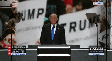 Donald Trump Rnc GIF by Election 2016