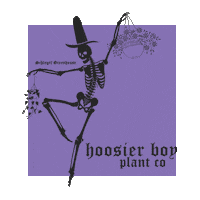 hoosierboyplantco plants hoosierboyplantco hoosierboyplants schlegelgreenhouse Sticker