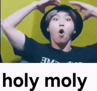 Stray Kids Han GIF