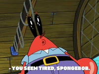 season 8 GIF by SpongeBob SquarePants