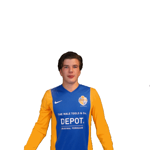 blauwgeel giphyupload football voetbal veghel Sticker