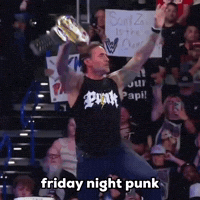 Cm Punk Wwe GIF