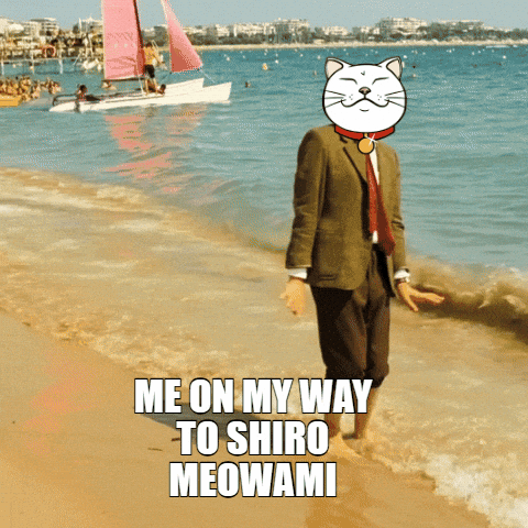 Dance Fun GIF by ShiroNeko