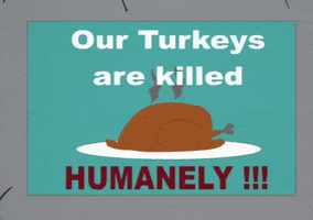 turkey plate GIF by South Park 