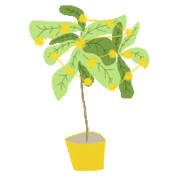 Wwwflower Sticker by Well-Watered Women