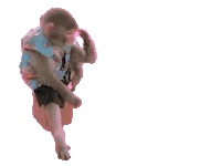 Fun Monkey Sticker