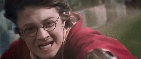 harry potter quidditch GIF by chuber channel