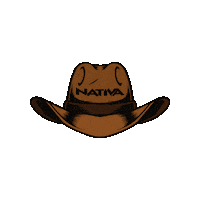 radionativajoinville nativa radionativa nativajoinville radio nativa Sticker