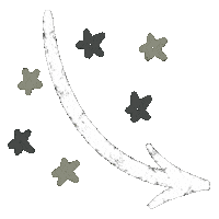 Star Sticker