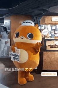 Cat Cartoon GIF by DinDong